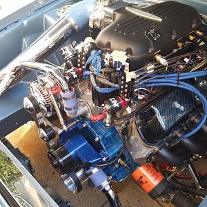 Another shot of my engine bay and motor fully detailed.