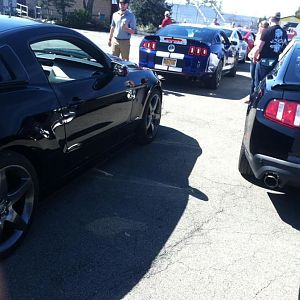 13062030 1018658998215435 5554398012635295763 n