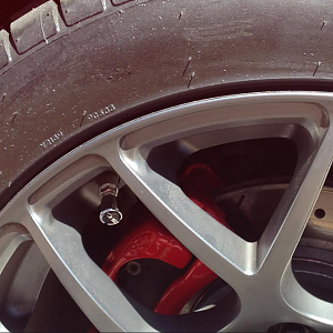 Powder-coated rear caliper