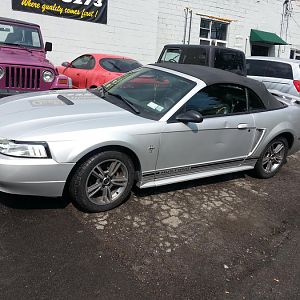 Just after putting later model Mustang wheels