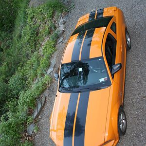 After adding stripes, all the neighborhood kids called my car bumble bee !!!