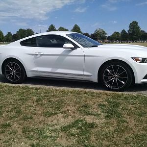 taken at St. Charles Cemetery