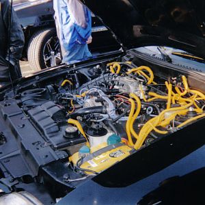 BLACK AND YELLOW ENGINE BAY (2)