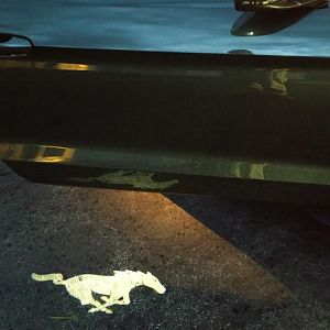 Gotta love that courtesy light!