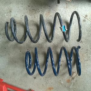 The difference between OEM Springs (top) and Steeda Sport Springs (bottom)