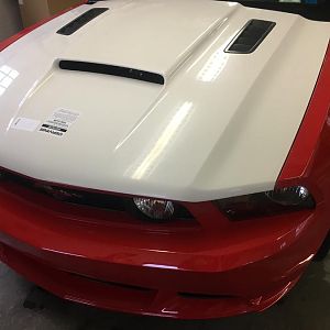 New Cervini stalker II hood.  Fit really well, finish was really nice imo.  First aftermarket hood. Not perfect but good nuff for my DD.