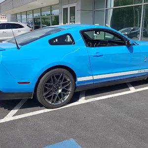 Grabber  Blue Shelby GT500