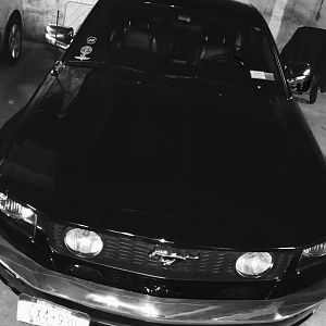 D48463A5 04AF 453D B71B B858D28413EF