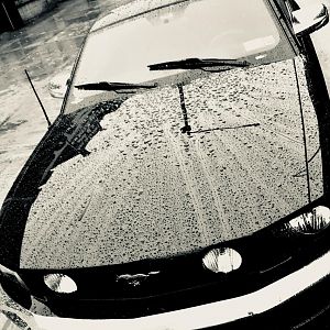 E9AE4A8C AAD2 47B9 A1B7 DE1245FE61BF