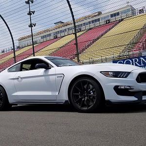 20170810 124329 (Medium)