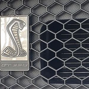 20180402 174642 (Medium)