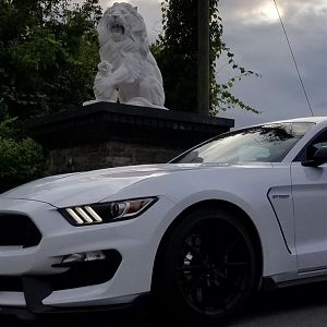 20170814 191152a (Medium)