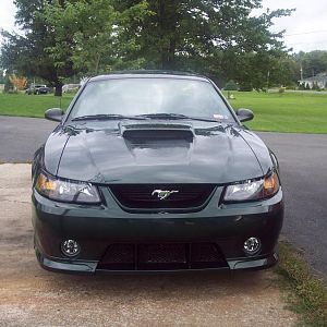 I think it come out good!