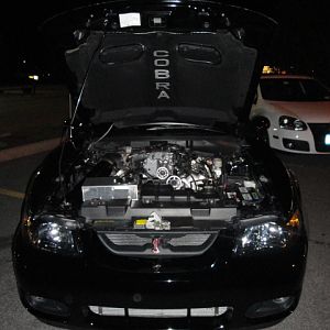 09.19.2009 BOBS NEW COBRA!!!!!!!!!!!!!!!!!!!!!! 008