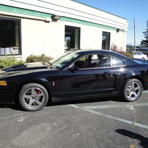 09.19.2009 BOBS NEW COBRA!!!!!!!!!!!!!!!!!!!!!! 024