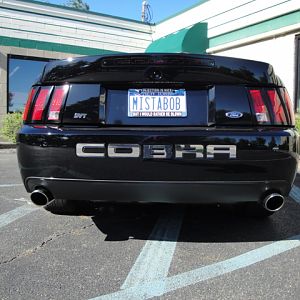 09.19.2009 BOBS NEW COBRA!!!!!!!!!!!!!!!!!!!!!! 029