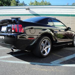 09.19.2009 BOBS NEW COBRA!!!!!!!!!!!!!!!!!!!!!! 030