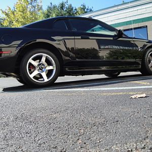 09.19.2009 BOBS NEW COBRA!!!!!!!!!!!!!!!!!!!!!! 032