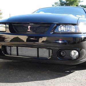 09.19.2009 BOBS NEW COBRA!!!!!!!!!!!!!!!!!!!!!! 035