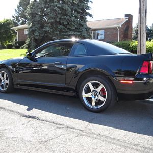 09.19.2009 BOBS NEW COBRA!!!!!!!!!!!!!!!!!!!!!! 041