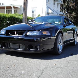 09.19.2009 BOBS NEW COBRA!!!!!!!!!!!!!!!!!!!!!! 050