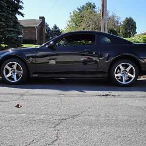 09.19.2009 BOBS NEW COBRA!!!!!!!!!!!!!!!!!!!!!! 053