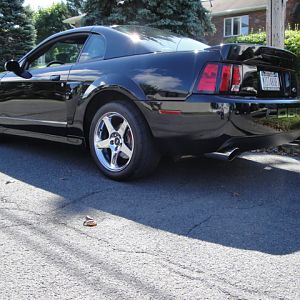 09.19.2009 BOBS NEW COBRA!!!!!!!!!!!!!!!!!!!!!! 055