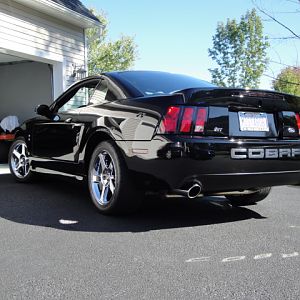 09.19.2009 BOBS NEW COBRA!!!!!!!!!!!!!!!!!!!!!! 061