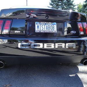 09.19.2009 BOBS NEW COBRA!!!!!!!!!!!!!!!!!!!!!! 059