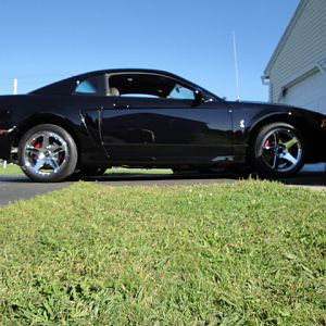 09.19.2009 BOBS NEW COBRA!!!!!!!!!!!!!!!!!!!!!! 096