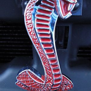 09.19.2009 BOBS NEW COBRA!!!!!!!!!!!!!!!!!!!!!! 103