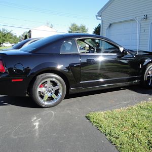 09.19.2009 BOBS NEW COBRA!!!!!!!!!!!!!!!!!!!!!! 110