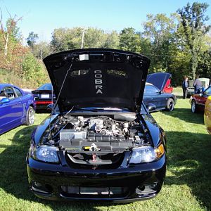 09.20.2009 C urtis Lumber Show NEW COBRA!!!!!!!!!!!! 033