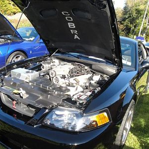 09.20.2009 C urtis Lumber Show NEW COBRA!!!!!!!!!!!! 034