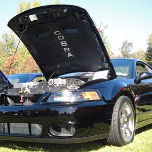 09.20.2009 C urtis Lumber Show NEW COBRA!!!!!!!!!!!! 079