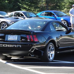 09.20.2009 C urtis Lumber Show NEW COBRA!!!!!!!!!!!! 169