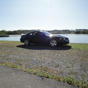 09.20.2009 C urtis Lumber Show NEW COBRA!!!!!!!!!!!! 207