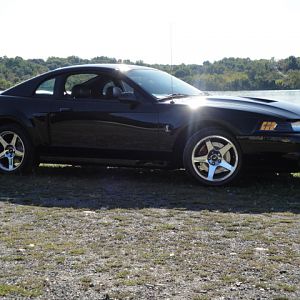 09.20.2009 C urtis Lumber Show NEW COBRA!!!!!!!!!!!! 208