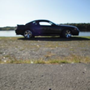 09.20.2009 C urtis Lumber Show NEW COBRA!!!!!!!!!!!! 210