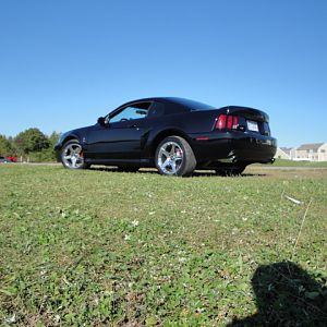 09.20.2009 C urtis Lumber Show NEW COBRA!!!!!!!!!!!! 212