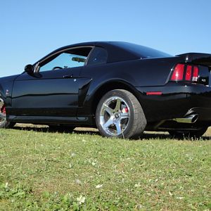 09.20.2009 C urtis Lumber Show NEW COBRA!!!!!!!!!!!! 213