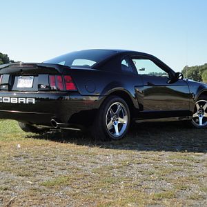 09.20.2009 C urtis Lumber Show NEW COBRA!!!!!!!!!!!! 216