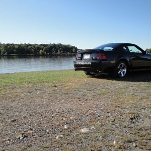 09.20.2009 C urtis Lumber Show NEW COBRA!!!!!!!!!!!! 218