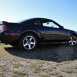 09.20.2009 C urtis Lumber Show NEW COBRA!!!!!!!!!!!! 228