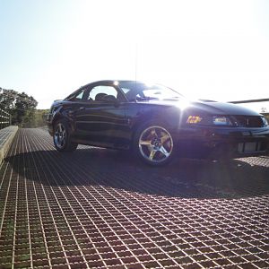 09.20.2009 C urtis Lumber Show NEW COBRA!!!!!!!!!!!! 229