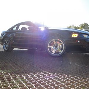 09.20.2009 C urtis Lumber Show NEW COBRA!!!!!!!!!!!! 230