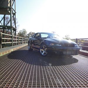 09.20.2009 C urtis Lumber Show NEW COBRA!!!!!!!!!!!! 231