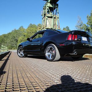 09.20.2009 C urtis Lumber Show NEW COBRA!!!!!!!!!!!! 238