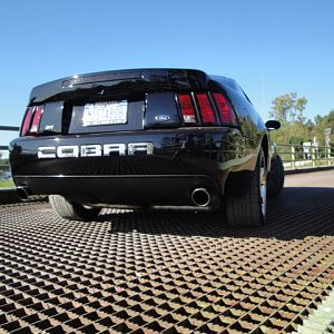 09.20.2009 C urtis Lumber Show NEW COBRA!!!!!!!!!!!! 239