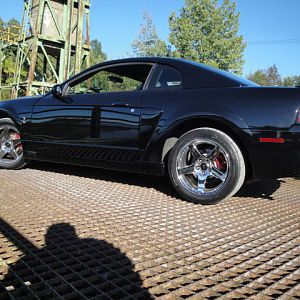 09.20.2009 C urtis Lumber Show NEW COBRA!!!!!!!!!!!! 240